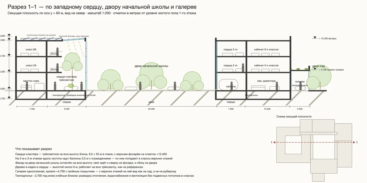 9:23. Section 1-1: the service basement, classrooms, a triple-height "heart" with a tree in a tub